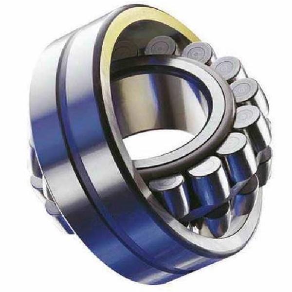 Number of Rows of Rollers FAG BEARING 23124-E1A-M-C3 Spherical Roller Bearings #2 image